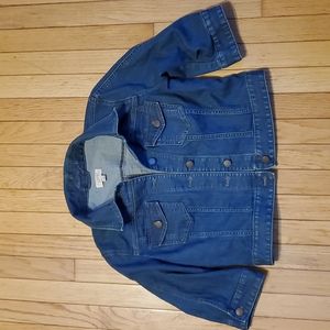 Loft Crop Denim Jacket